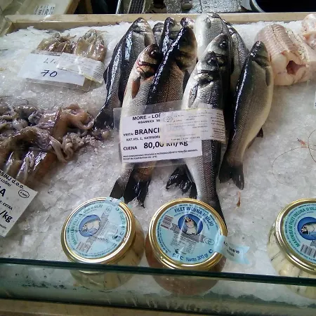 Daire Castle Lussin Mali Lošinj